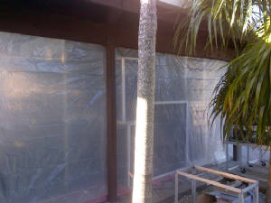 Temporary greenhouse FRONT