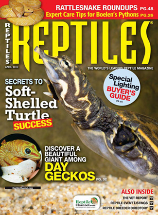 Reptiles Magazine