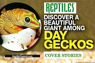 REPTILES MAGAZINE cover story