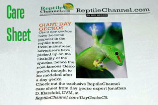 FacilityInfo/reptilechannelcaresheet.jpg