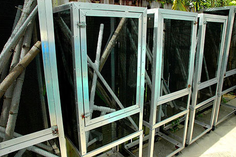 Reptile screen cages