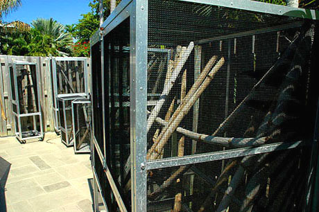 Large reptile screen cages