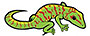 ABOUT US- DayGeckos.com